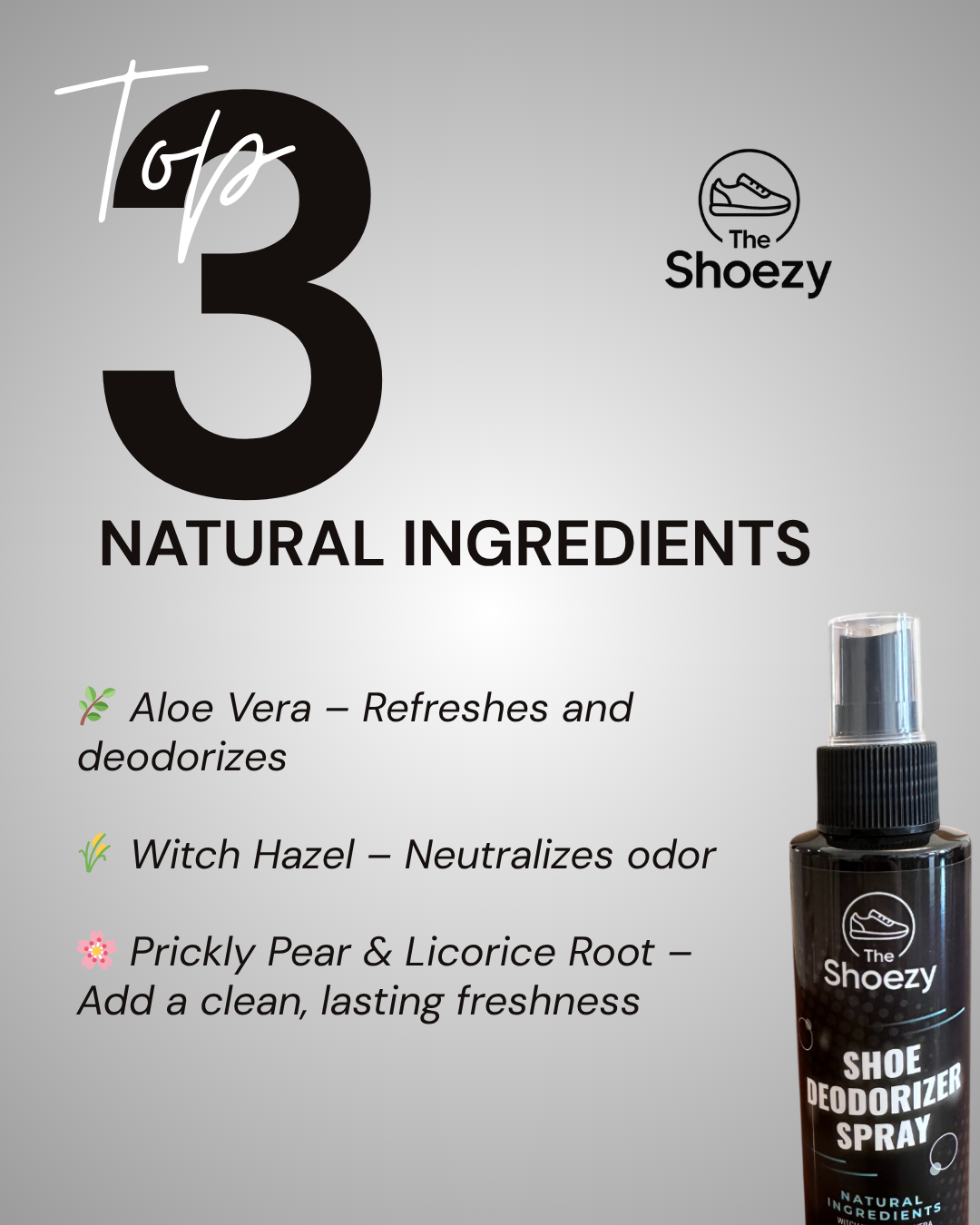 The Shoezy Shoe Deodorizer