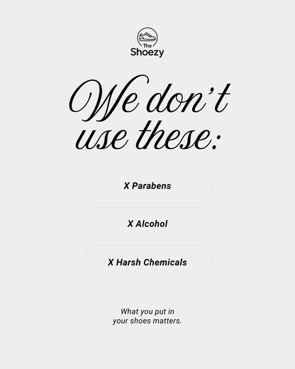 The Shoezy Shoe Deodorizer